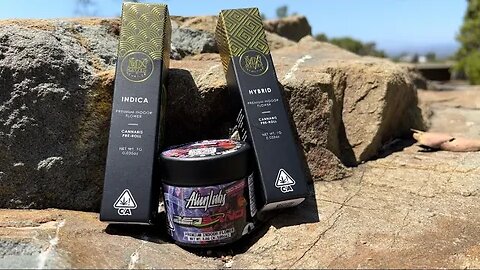 Alien Labs Zed Band and Maven Pre Rolls Golden Apples, Ube Creme Review