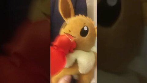 Normal Mornings for Eevees