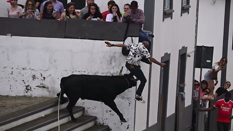Marrada Na Tourada Da Serreta - Festas Sanjoaninas 2024