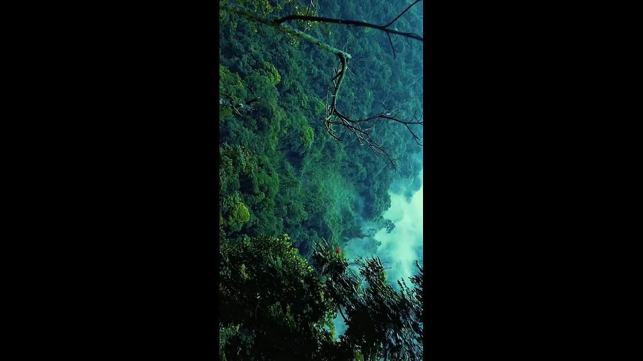 Beautiful Nature Video