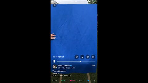 Scott LoBaido new painting USA : Kamala Harris 30/08/2024