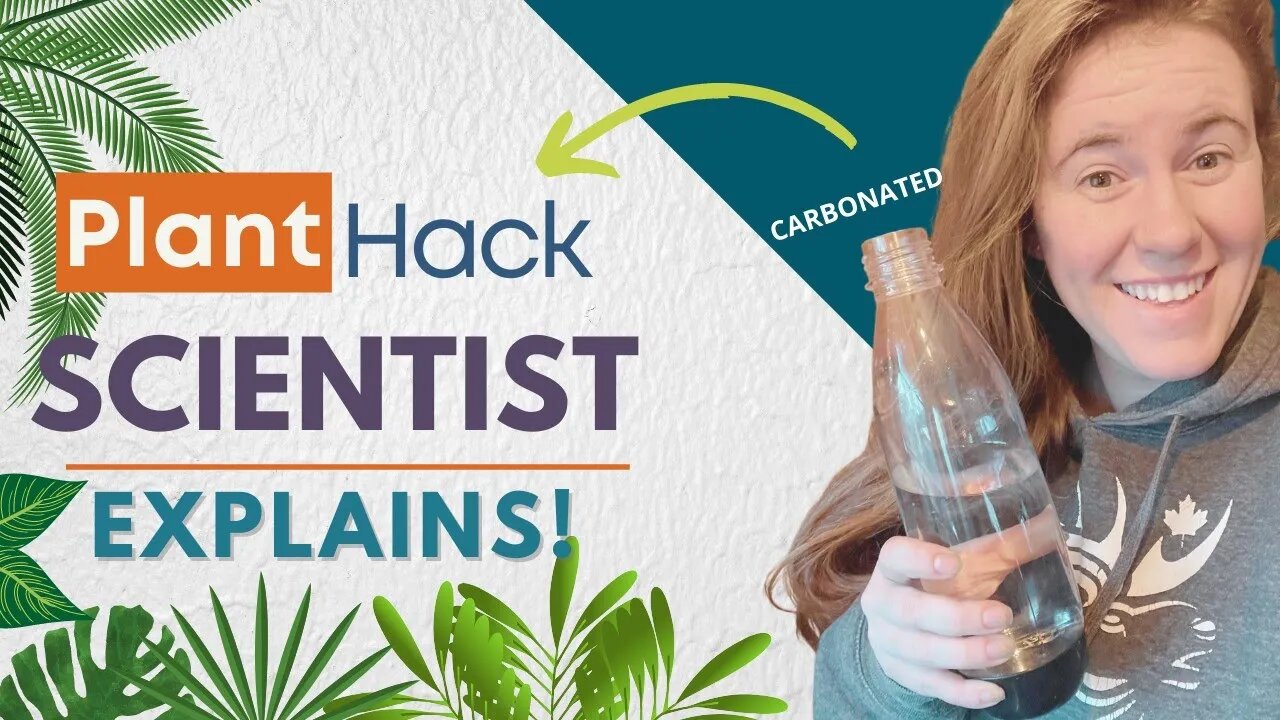 Can You Water Plants With Carbonated Water? Soil Scientist Explains Why Plants Like Carbonated Water
