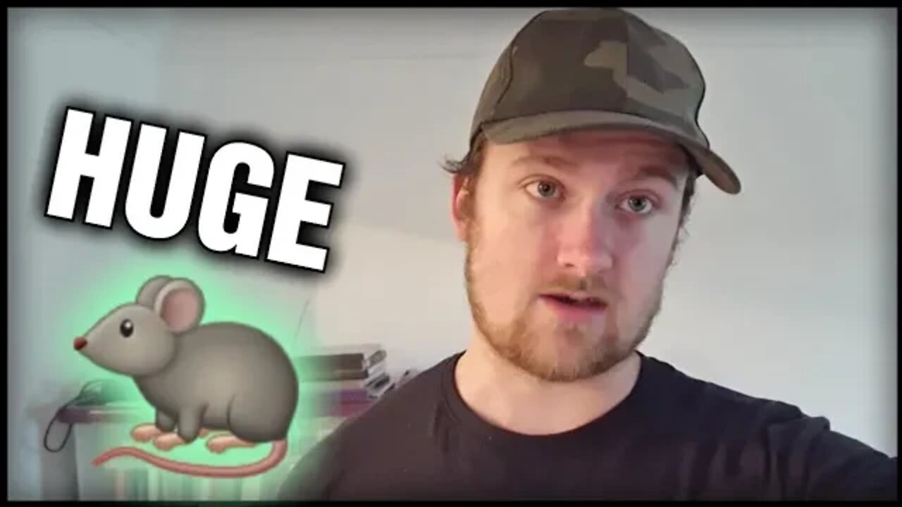 There's A MASSIVE Rat