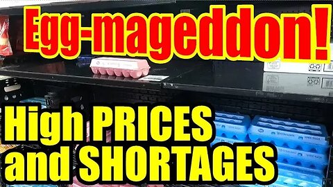 No END in SIGHT – MORE EGG Price-hikes and SHORTAGES to come!