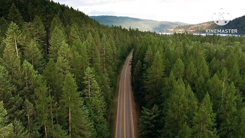 A Road Inside The Amazing Forest.......