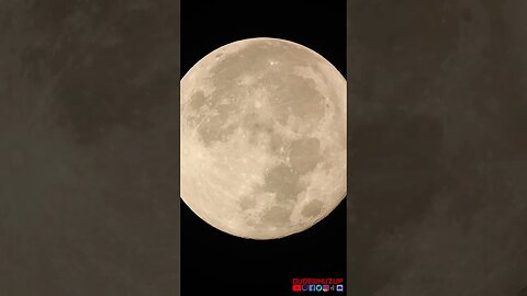 Sturgeon Supermoon through my telescope 🔭 #moon #nasa #science #space #supermoon #sturgeonmoon