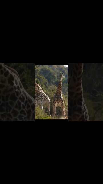 Amazing and Trending videos on YouTube 2022