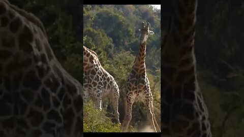 Amazing and Trending videos on YouTube 2022