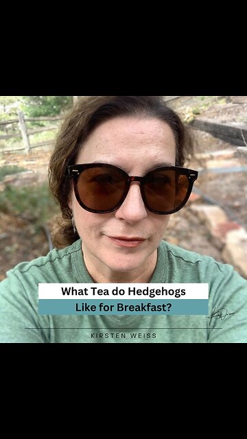 Of hedgehogs, tea, and Tarot