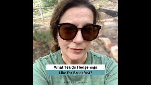 Of hedgehogs, tea, and Tarot