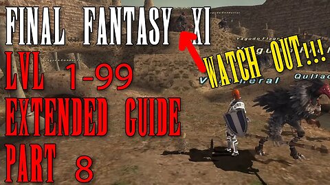 FFXI - Rapid 1-99 Guide - Full Length Walkthrough Part 8