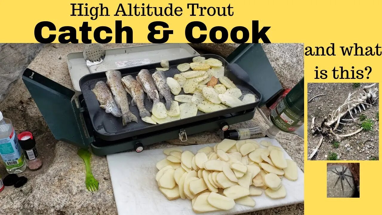 Utah Silver Lake Flat Reservoir, Rainbow Trout Fishing in Wasatch Mountains, Catch & Cook