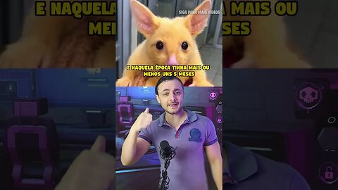 POKEMONS DA VIDA REAL