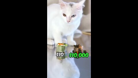 Mr Beast feeding 10$ vs $10000 to hi Cat...