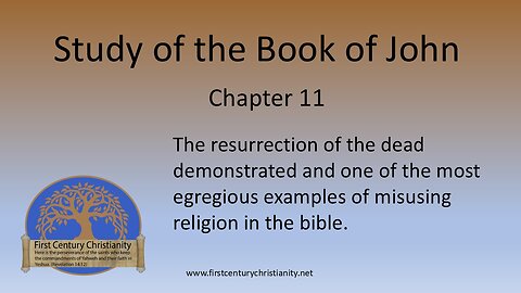 John 11