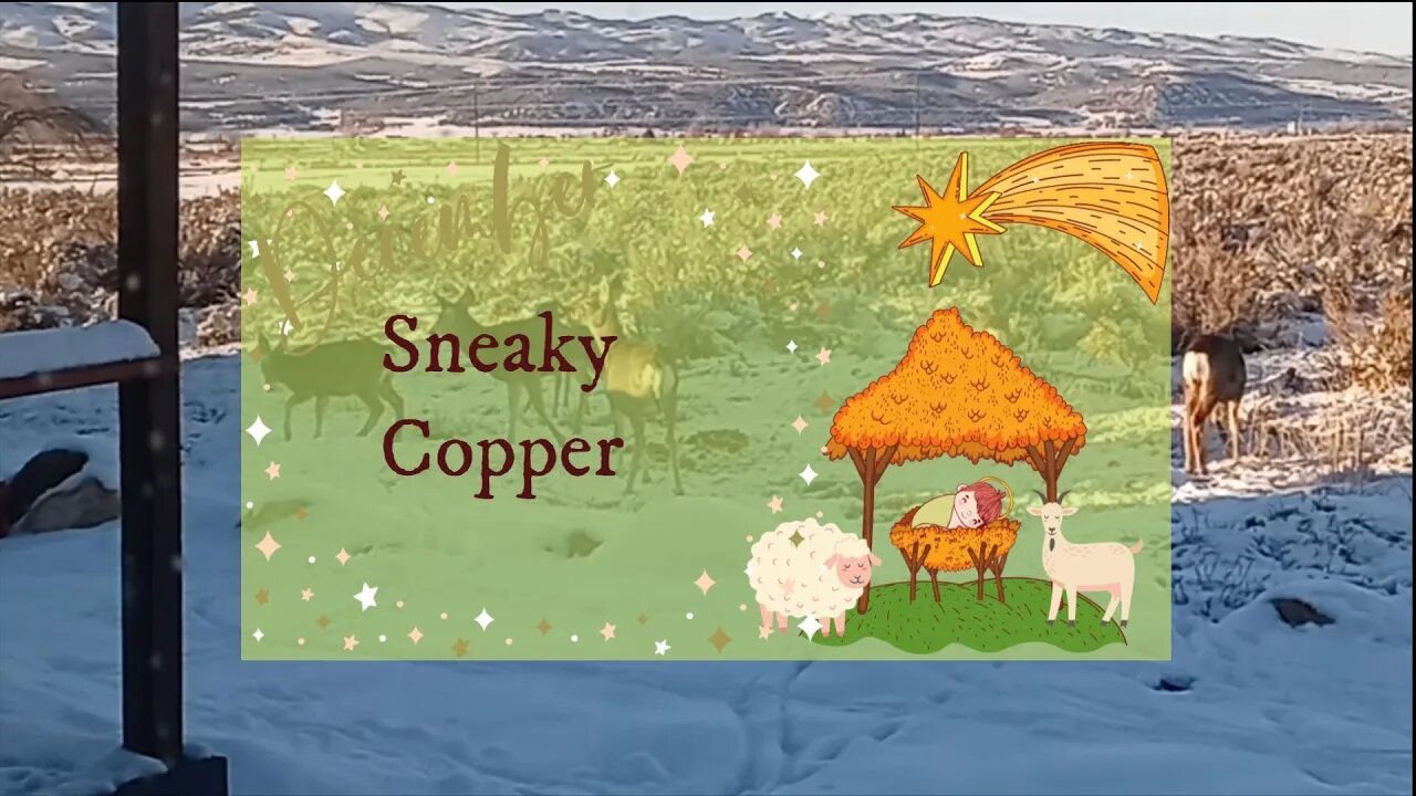 Sneaky Copper