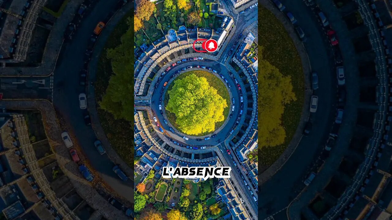 #conseils #du #journal #motivation