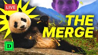 Hours After The Merge -- What Happened?