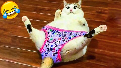Funniest Animals 2024