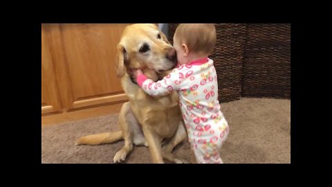Cute Babies Playing With Dogs Compilation - Funny Baby And Pets