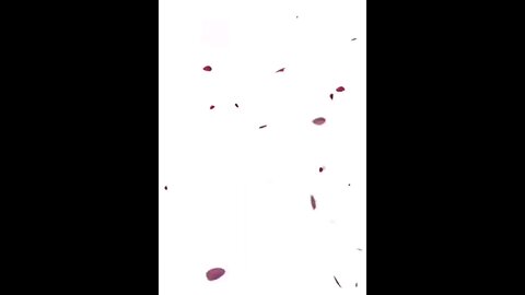 Jai radhe radhe 🙏🙏🙏