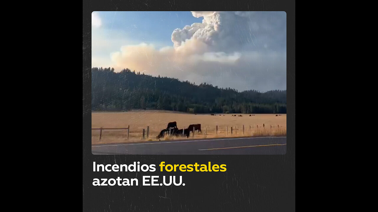 Incendios forestales afectan a varios estados de EE.UU.