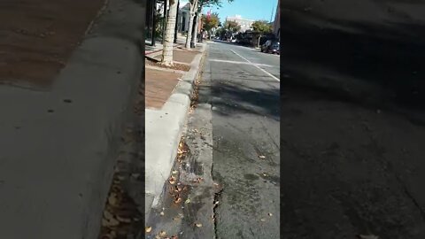 #gangstalking perp walk 10/23/2022 Pt. 2