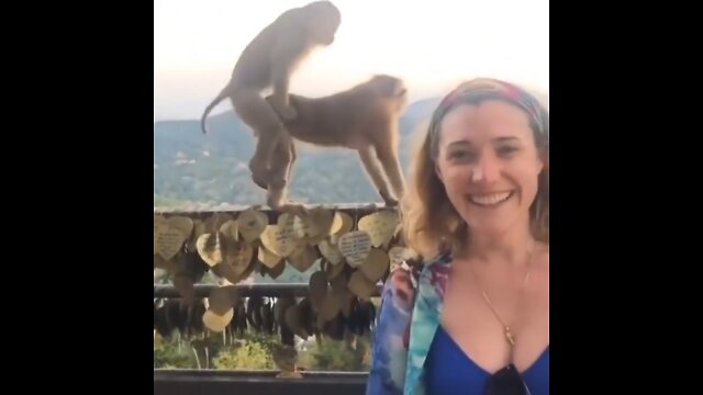 Top 100 Viral Videos of the Year 2022