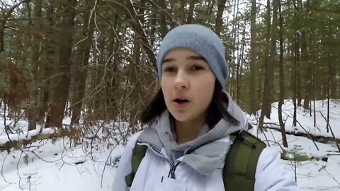 Winter Bushcraft: Camping with my Husky (-20⁰C)-5