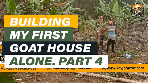Building My First Goat House Alone Part 4 | ep8 #goatfarming #goats