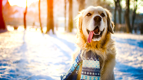 Sno' Way: 8 Reasons Why We're Obsessed with Snow