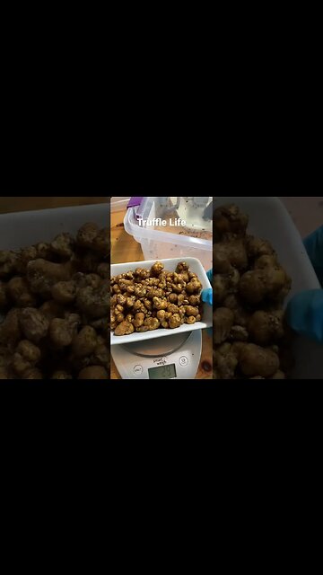 🥔 🍄? Mushroom Potatoes