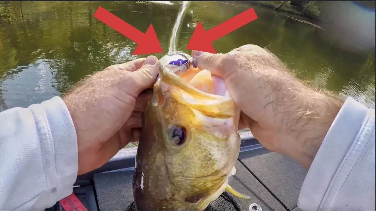 BIG Bass on a Frog - Story Time - Mail Time!!!