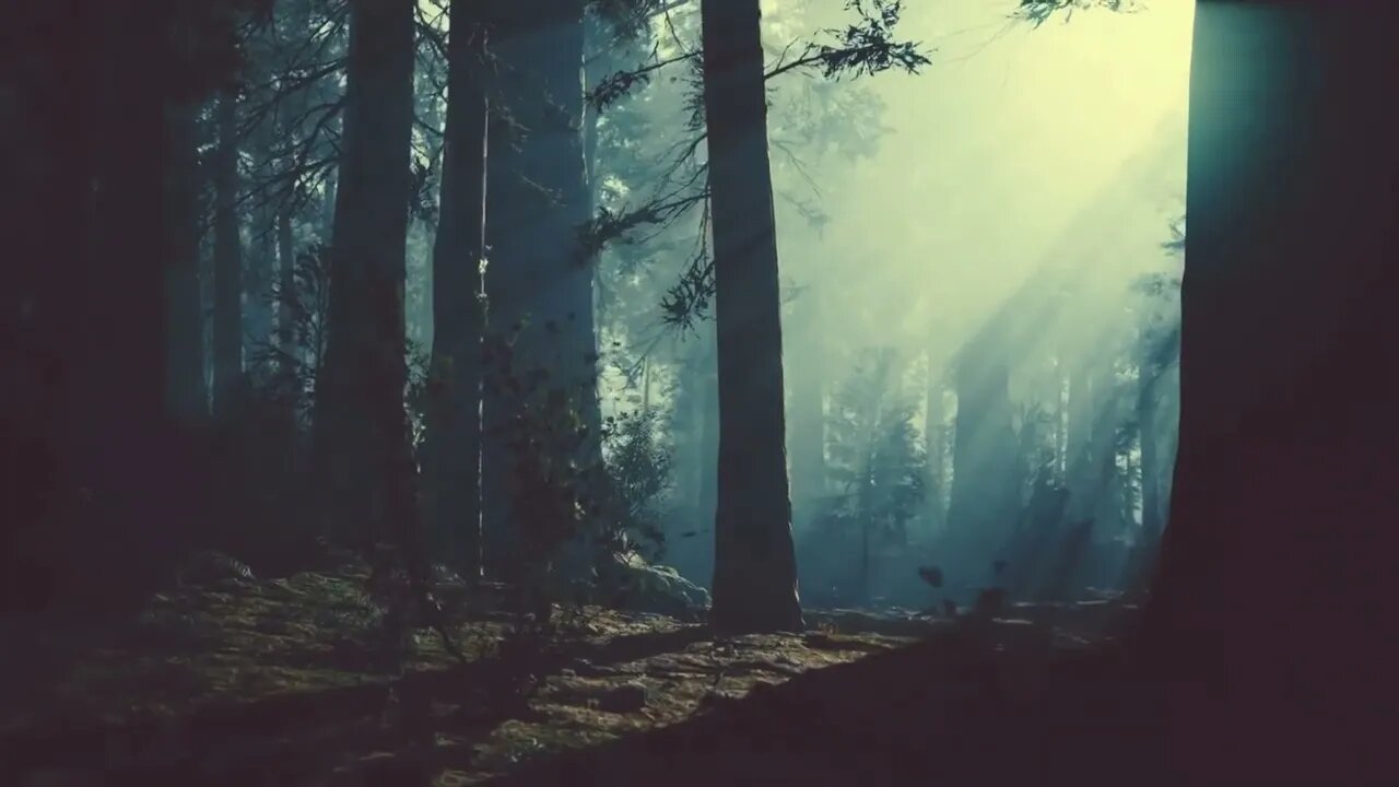 Meditation Music With Refresh Your Mind, And Night Natural