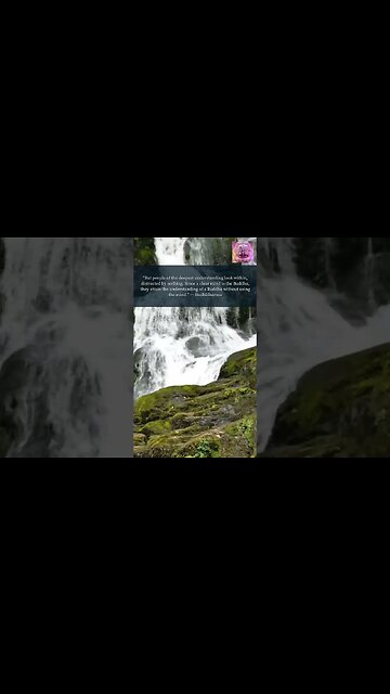 Find inner peace with the understanding of a Buddha #shorts #innerpeace #clearmind