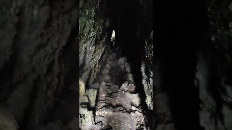 Rangitoto Island lava cave