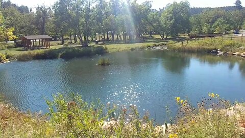 Pit stop in Custer State Park