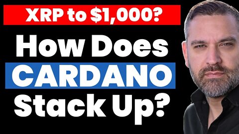 XRP to $1,000? Cardano Down Like Litecoin? ADA Metrics