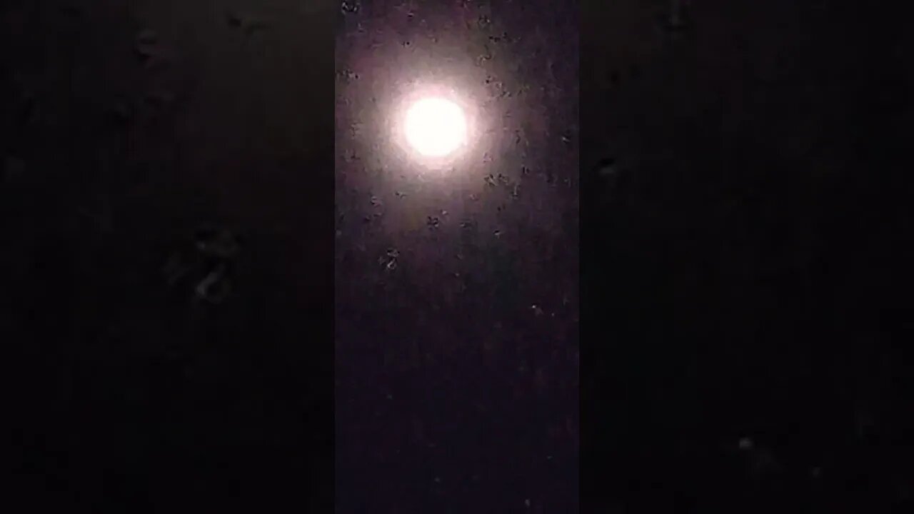 universe , space , shorts