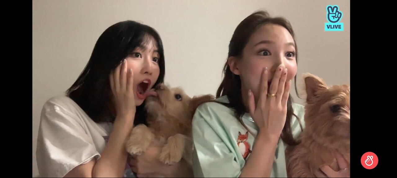 [vlive] 20210627 Twice 🍹💗 (Nayeon, Momo)