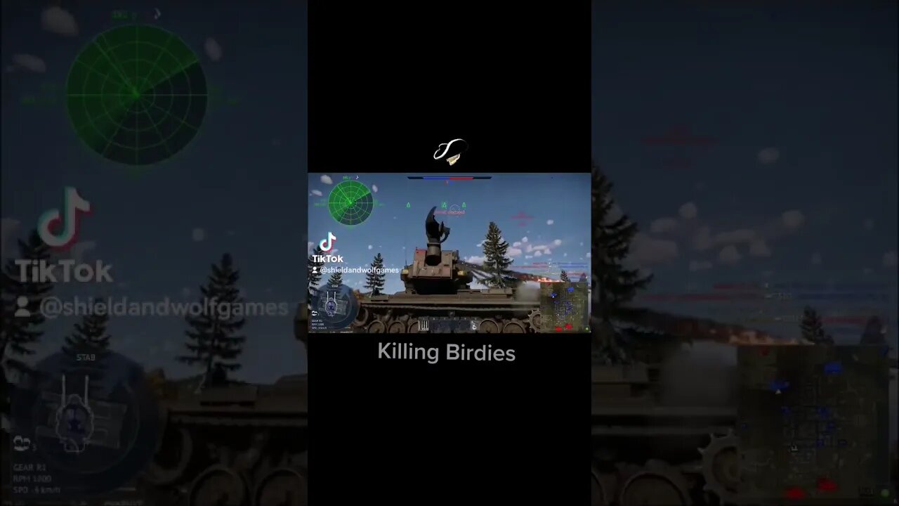 #warthunder #game #gaming #airbattle Killing Birdies ✈️✈️✈️✈️🚀🚀🚀🏴☠️🏴☠️🏴☠️🏴☠️🏴☠️