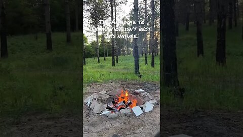 Camping in a Sketchy Forest