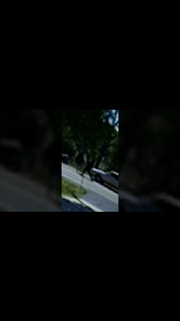 cop fights 15 yr old #gcm #colorado #lasanimascounty