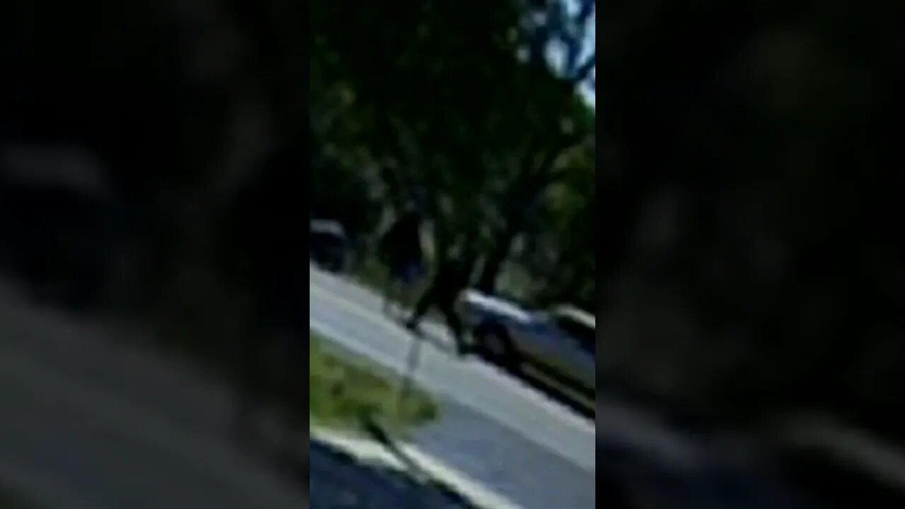 cop fights 15 yr old #gcm #colorado #lasanimascounty