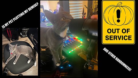 Humpday Hangout #35 - Is my pet plotting my demise?