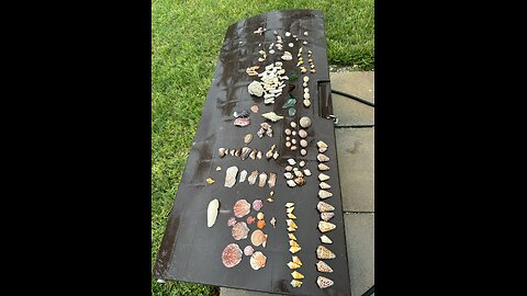 Beach Finds 10/3/24-10/4/24 | 4K