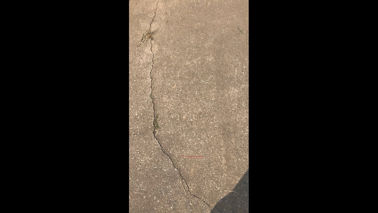 Caro half mile 2024