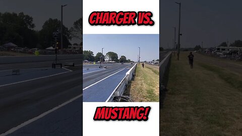 Dodge Charger vs. Ford Mustang Drag Race! #shorts