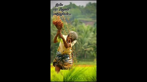 Pongal