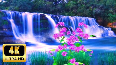 1 Hour of Relaxing Music • Calm Piano Music, Sleep Music, Water Sounds, Meditation Music